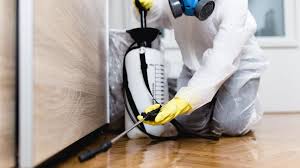 Best Real Estate Pest Inspections  in La Villa, TX